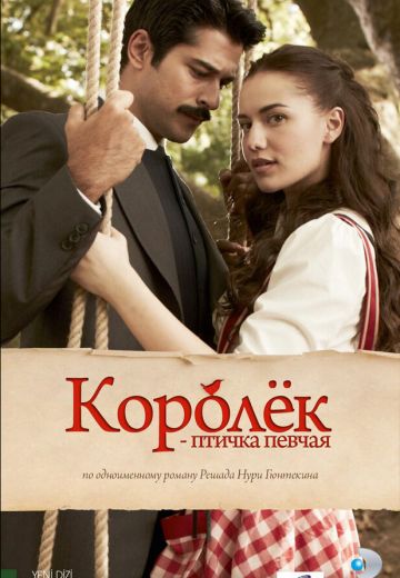 Королёк — птичка певчая 