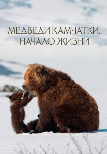 Медведи Камчатки: Начало жизни 