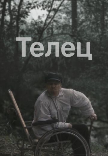 Телец 